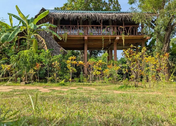 Sigiriya Rock View Tree House