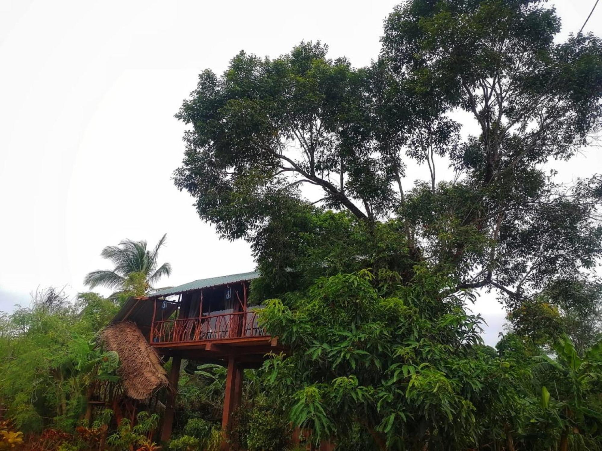 Rock View Tree House Sigiriya