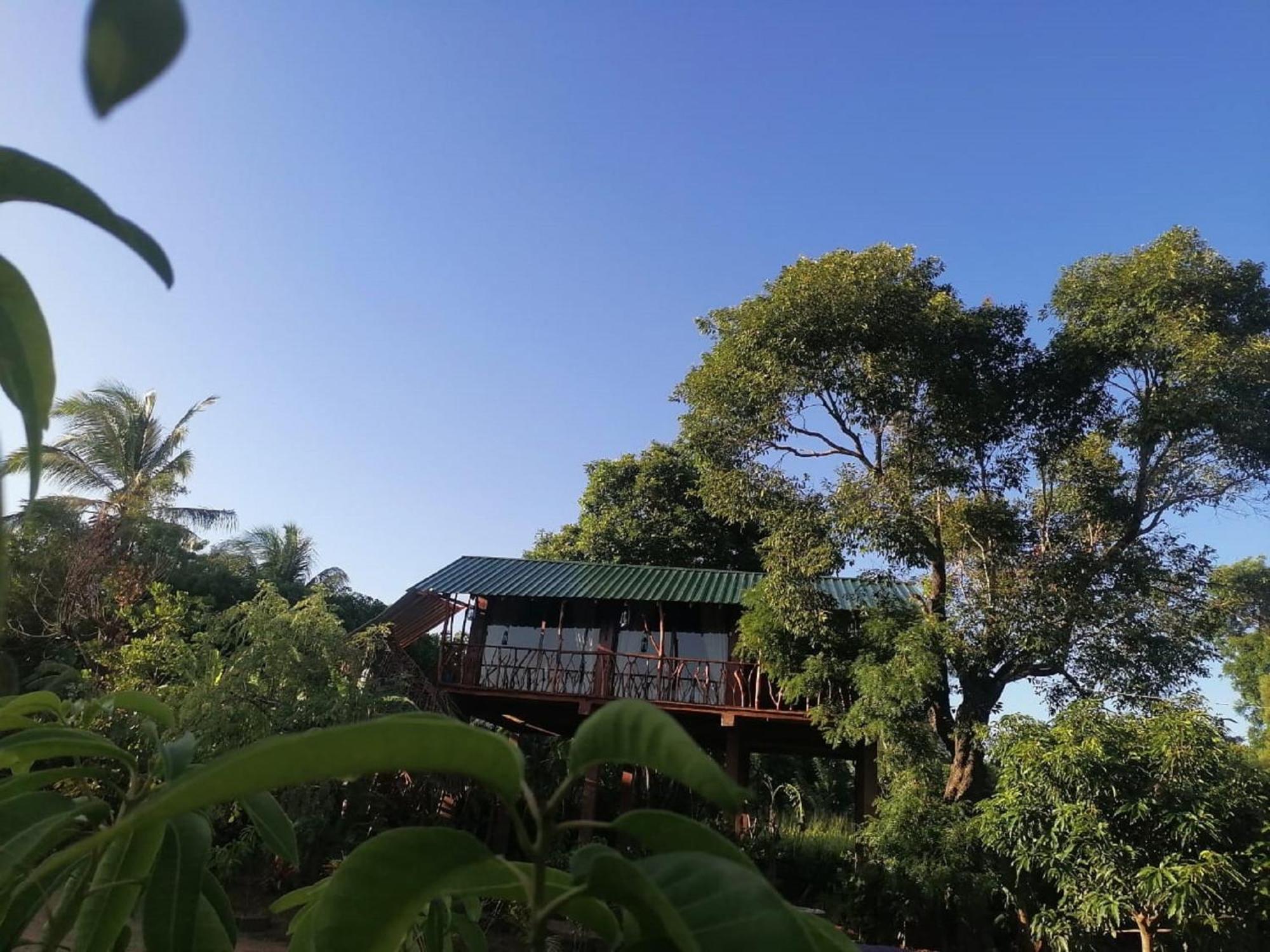 Rock View Tree House Lodge
