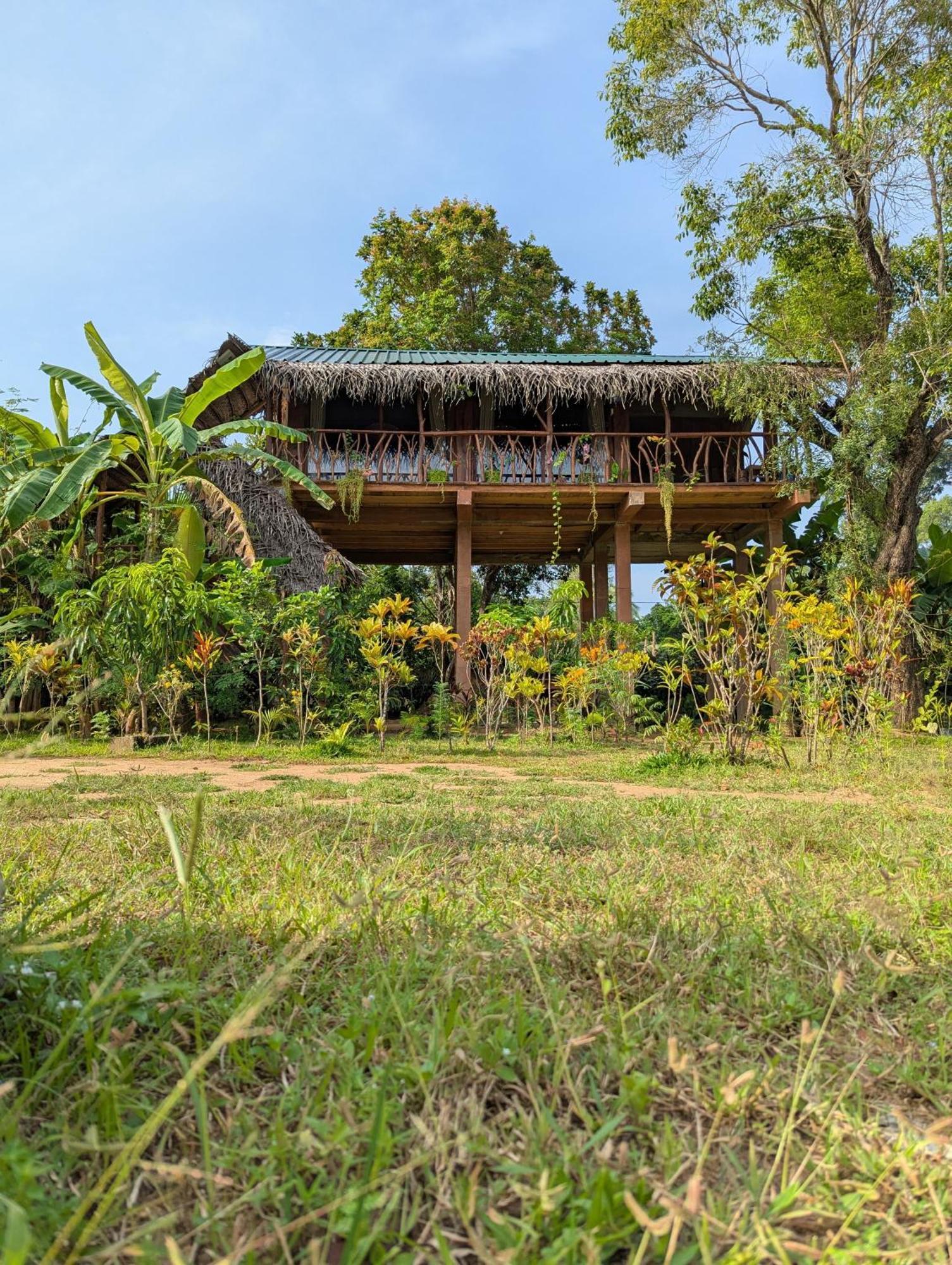 Lodge Rock View Tree House *